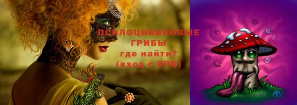 сатива Аркадак