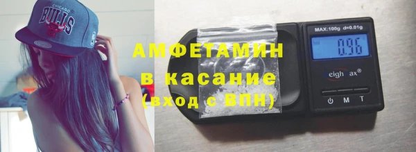 сатива Аркадак