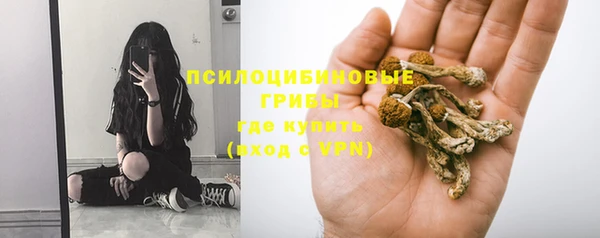 ГАЛЛЮЦИНОГЕННЫЕ ГРИБЫ Армянск
