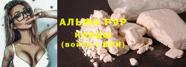сатива Аркадак